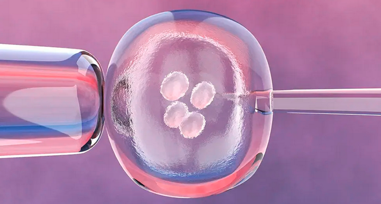 Bayi Lahir dari Embrio Beku 31 Tahun, Pecahkan Rekor Dunia dan Guncang Dunia Medis